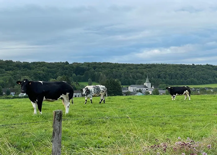 Couette-café Le Temps D'une Pause Ny