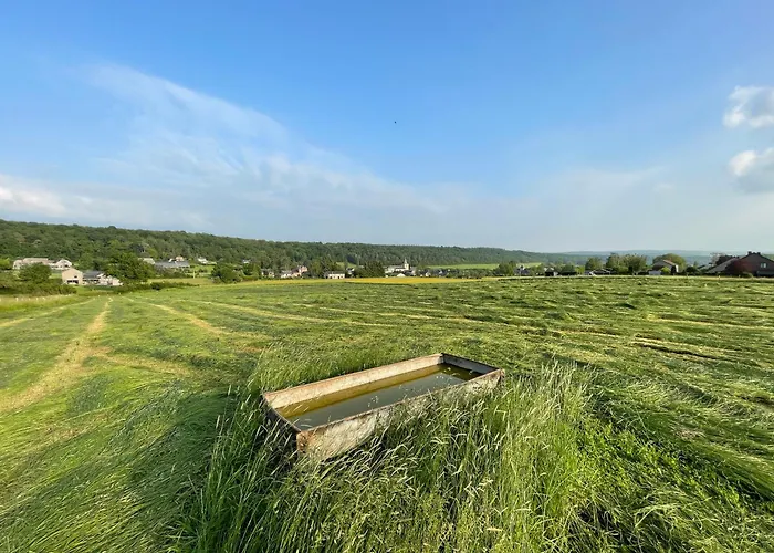 Le Temps D'une Pause