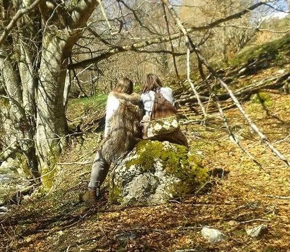 Le Temps D'une Pause 3* Ny